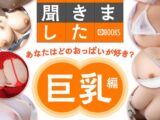 100人に聞きました あなたはどのおっぱいが好き？【巨乳編】