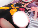 ミヤちゃん もみまくらカバー